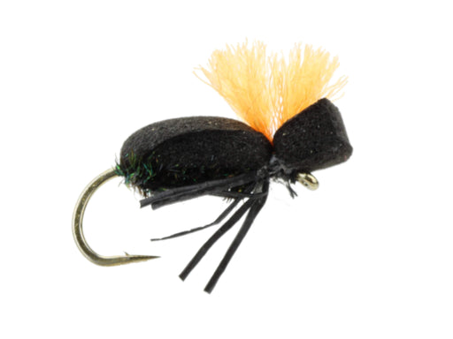 Foam Beetle Fly | Wild Water Fly Fishing