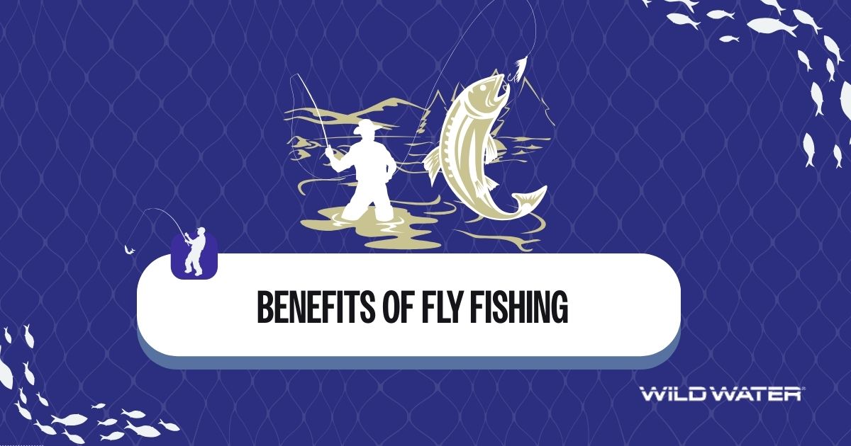 Fly Fishing Shops Near Me