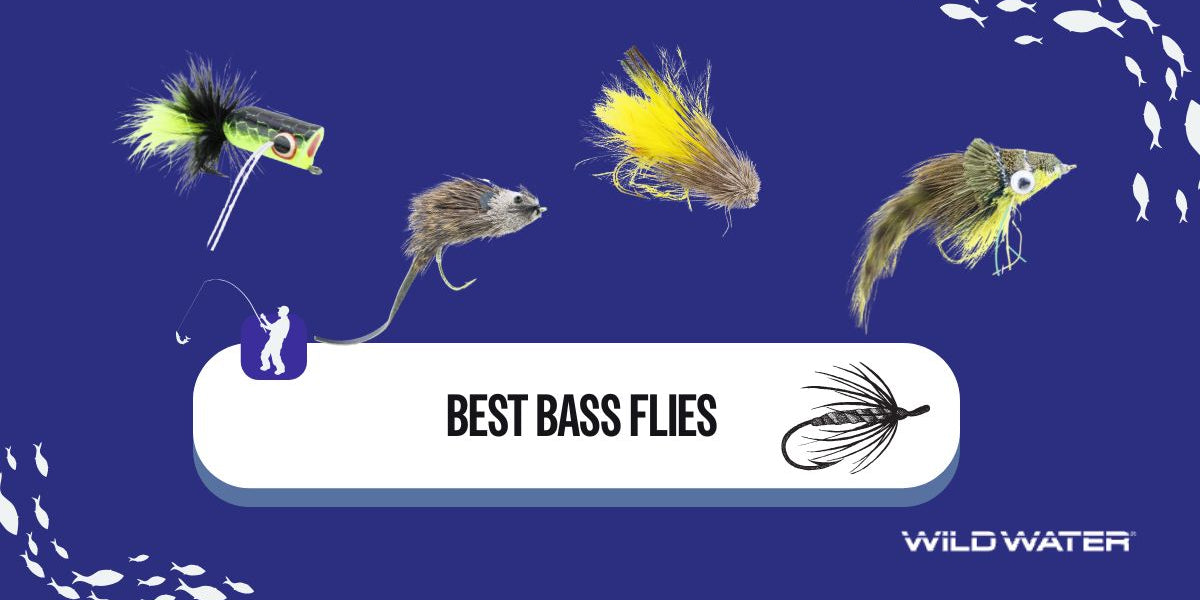 best fly lures for bass Virginia's Ten Flies Assortment Poppin fresh straight from the toaster. Bass Fishing Flies: An Angler's