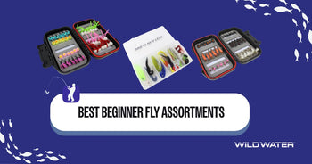 Best Beginner Fly Assortments
