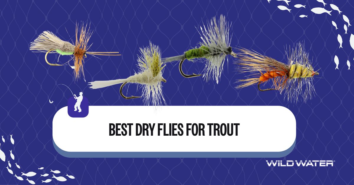 Best Fly 10 Best Dry Flies For Trout: Must-Have Trout Flies, Hatch Picks, And ...