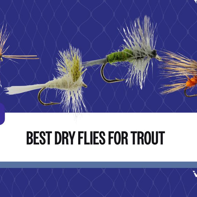 best dry flies for trout