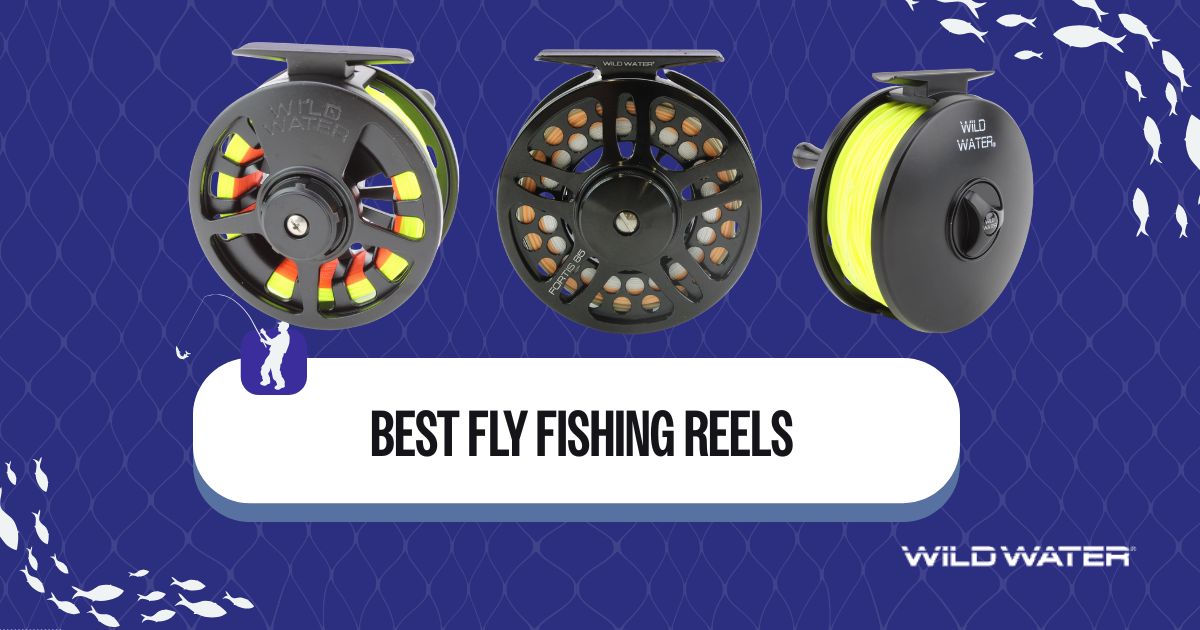 8 Best Fly Fishing Reels of 2026 (Reviewed & Compared) — Wild Water Fly ...