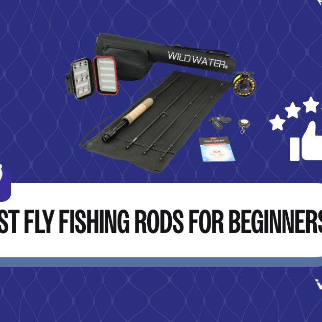 best fly fishing rods for beginners