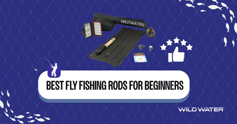 basic fly fishing rod The Little River forgiving feel Best Fly Fishing Rods for