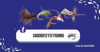 Caddisfly Fly Fishing