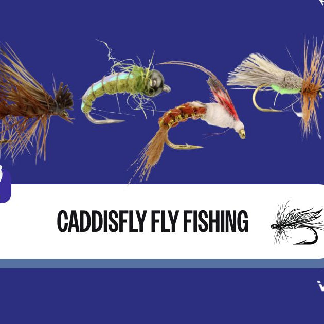 Caddisfly Fly Fishing