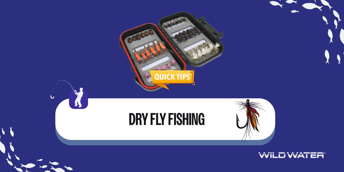 Dry Fly Fishing: A Complete Guide to Catching Trout on the Surface ...