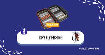 Dry Fly Fishing