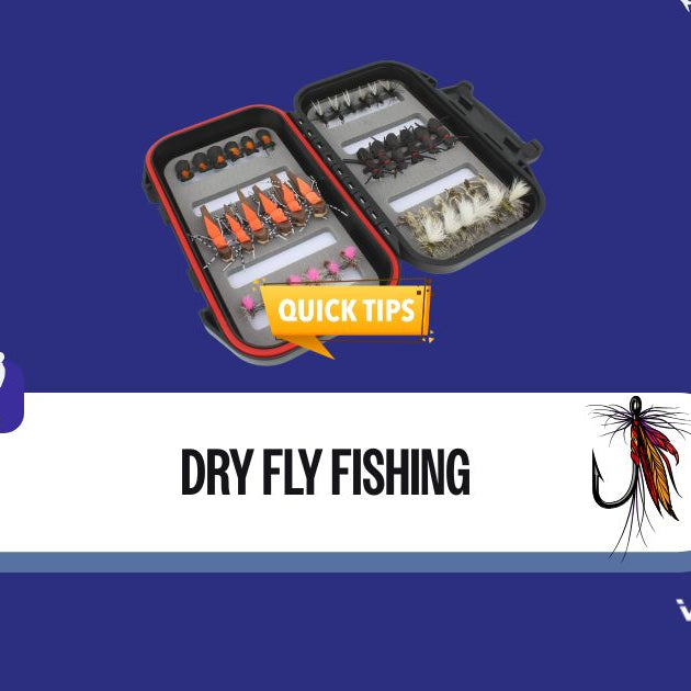 Dry Fly Fishing