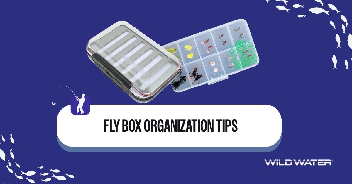 Fly Box Organization