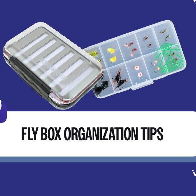 Fly Box Organization