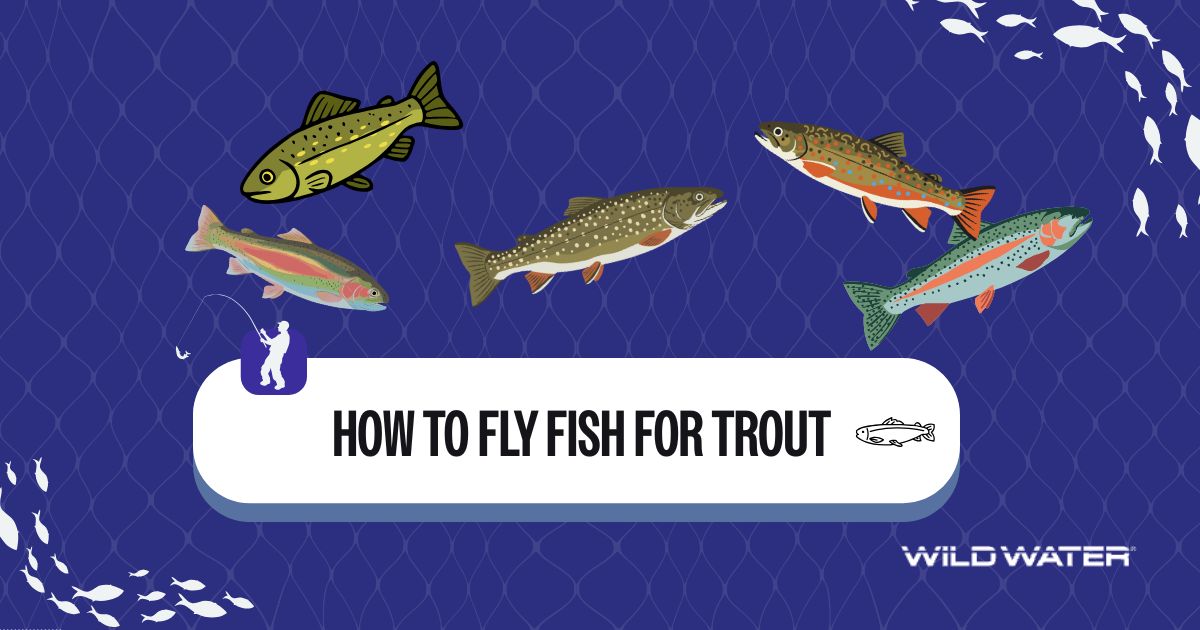 fly fishing for trout