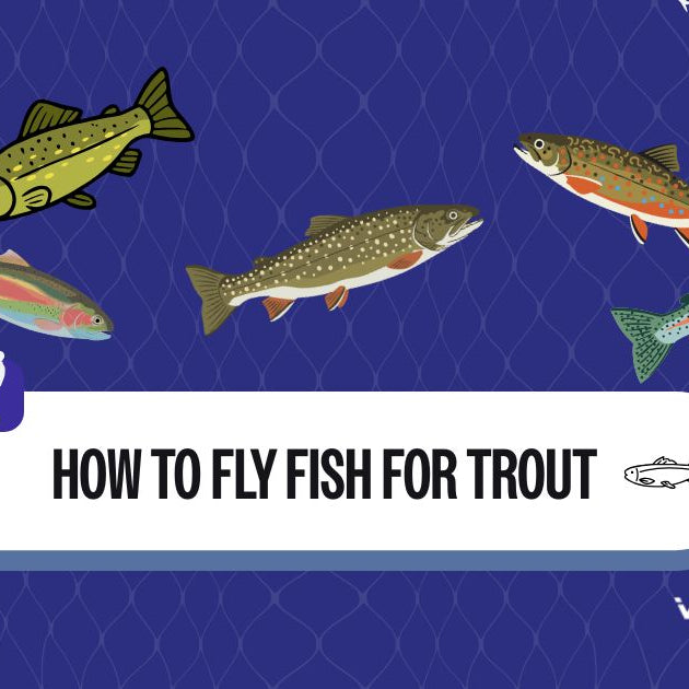fly fishing for trout