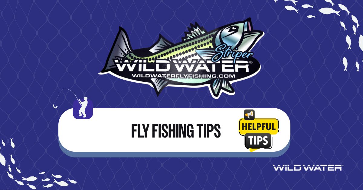 Beginner Fly Fishing Tips: What Not to Do (and What to Do Instead)