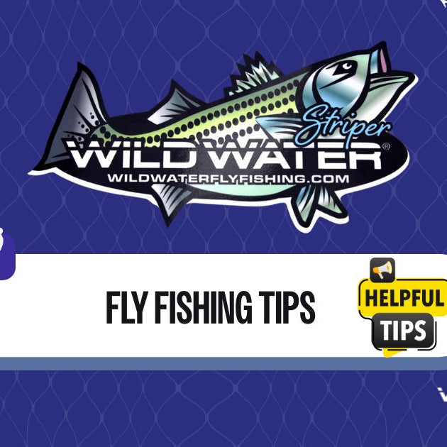 Beginner Fly Fishing Tips: What Not to Do (and What to Do Instead)