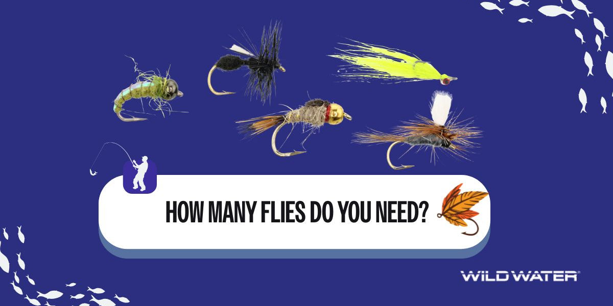 How Many Flies Do You Need? A Practical Fly Box Guide for Every Angler ...