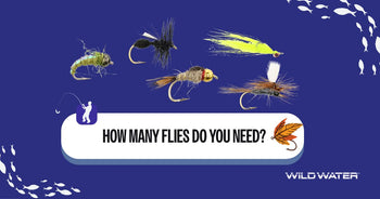 How Many Flies Do I Need