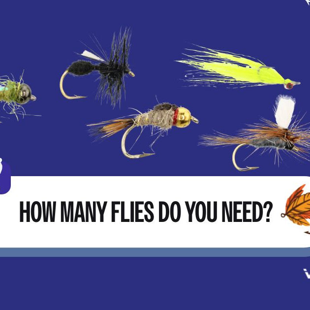 How Many Flies Do I Need