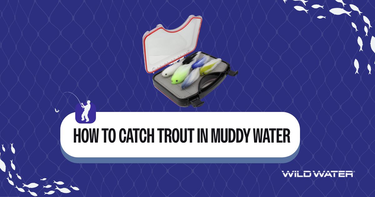 how to catch trout in muddy water