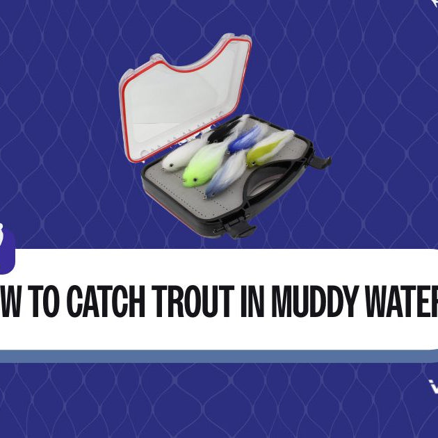 how to catch trout in muddy water