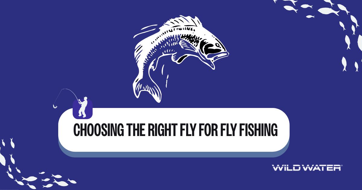 Right fly for Fly Fishing