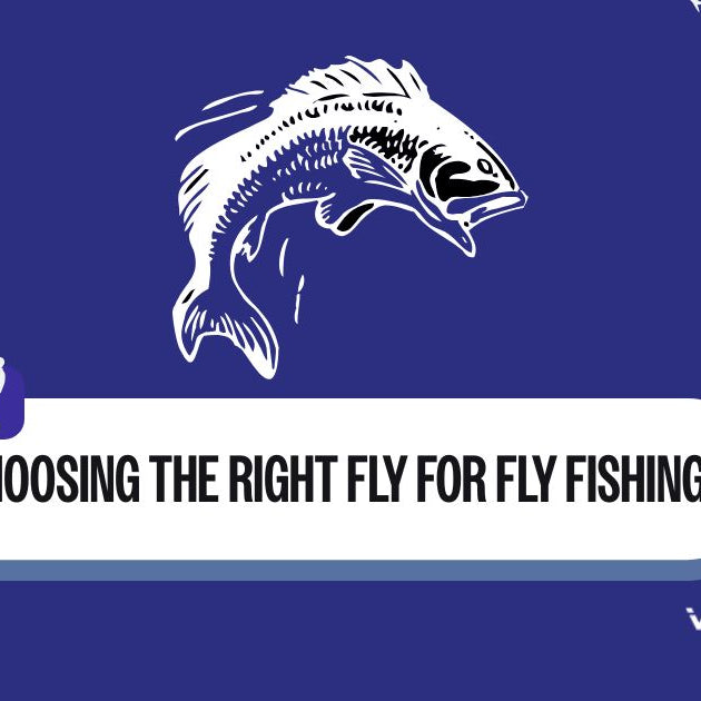 Right fly for Fly Fishing