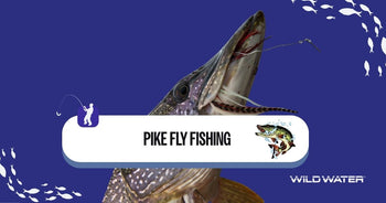pike fly fishing