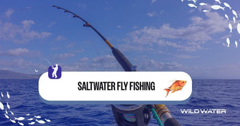 saltwater fly fishing