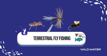 Terrestrial Fly Fishing