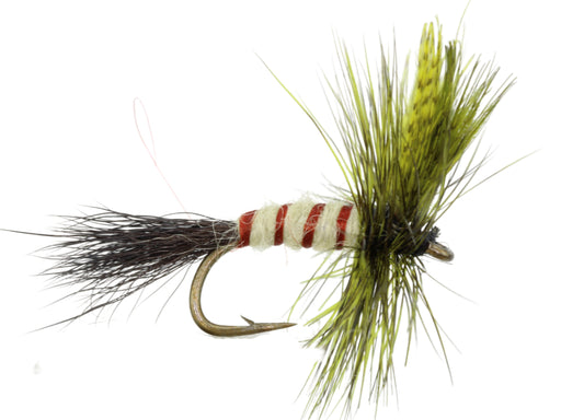 Wild Water Fly Fishing Fly Tying Material Kit, Olive Eastern Drake, size 12