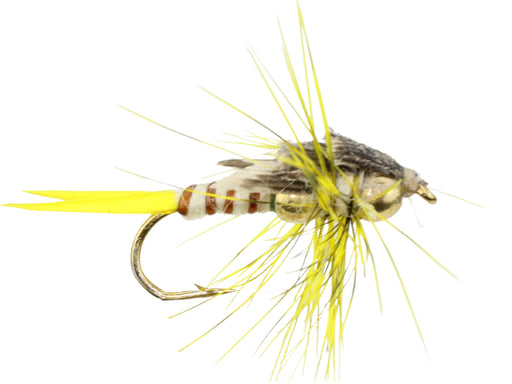 Wild Water Fly Fishing Fly Tying Material Kit, Beaded Yellow Stonefly, size 10