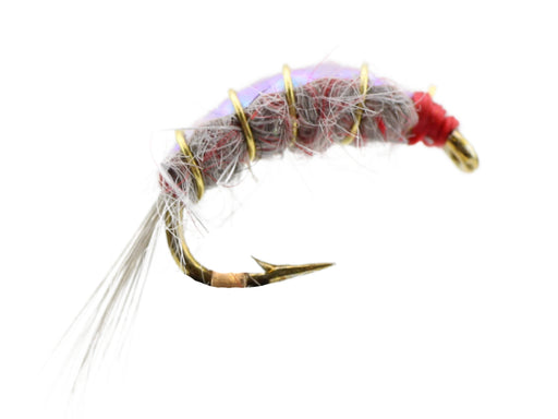 Wild Water Fly Fishing Gooey Big Horn Scud, Size 16, Qty. 6