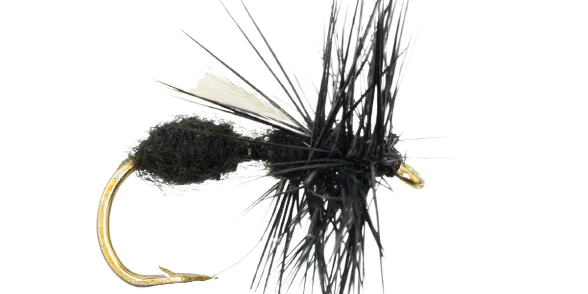 Winged Black Ant Dry Fly Pattern Wild Water Fly Fishing