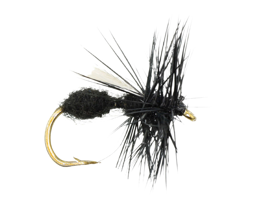 Winged Black Ant Dry Fly Pattern | Wild Water Fly Fishing