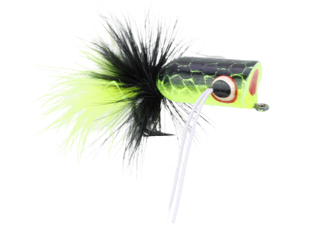 best bass popper fly lures Kermit / #8 to deliver a full assortment of fly lines Fly Fishing Poppers, 12pcs Topwater