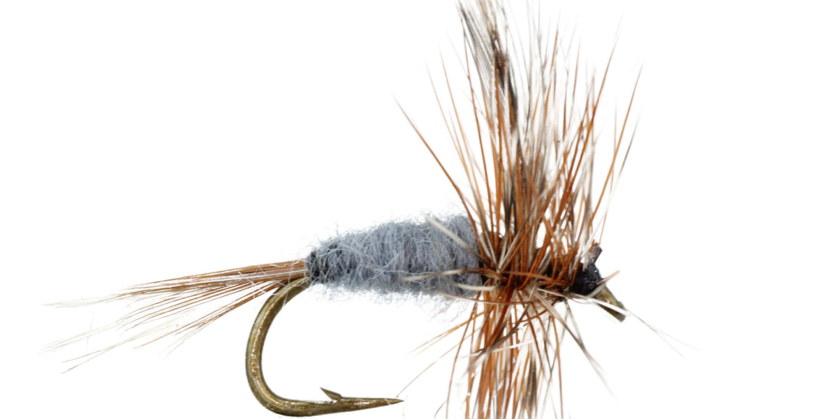 Dry Flies For Trout Fishing The Fly Fishing Place Adams Classic Dry Fly - 1 Dozen Flies Hook Size 12 Whiting Fish