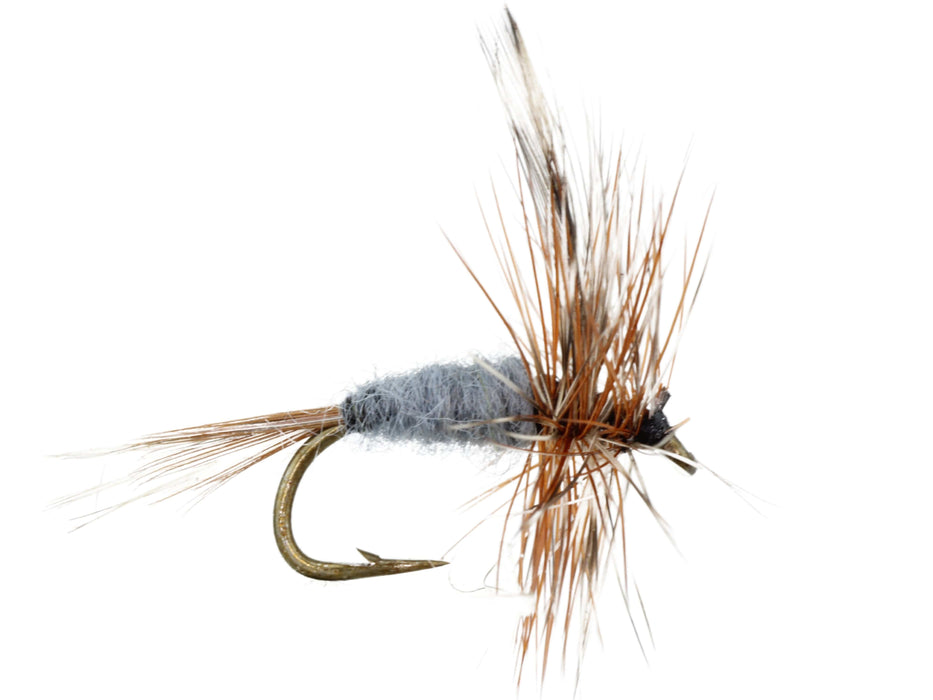 Adams Fly | Wild Water Fly Fishing