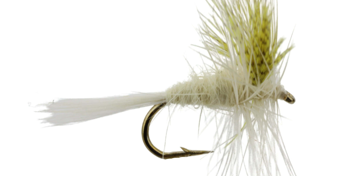 Wild Water Fly Fishing Light Cahill, Size 14, Qty. 6