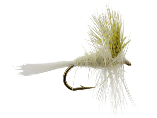 Light Cahill Dry Fly Pattern | Wild Water Fly Fshing