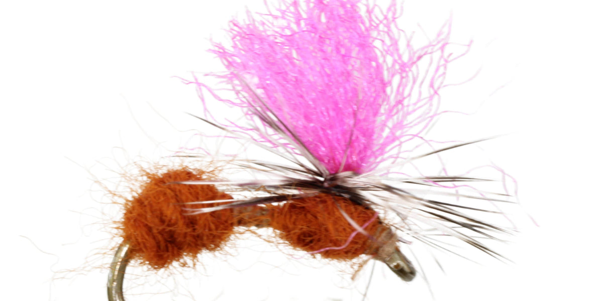 Mobile Ant Dry Fly Pattern Wild Water Fly Fishing